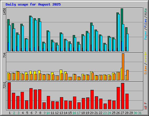 Daily usage for August 2025