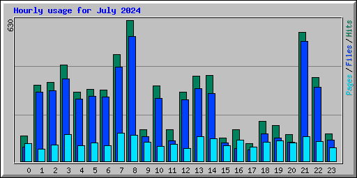 Hourly usage for July 2024