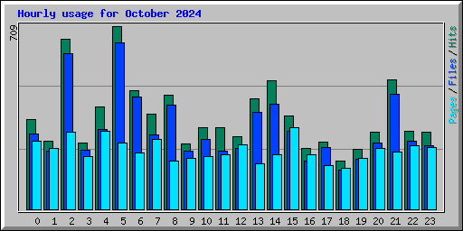 Hourly usage for October 2024