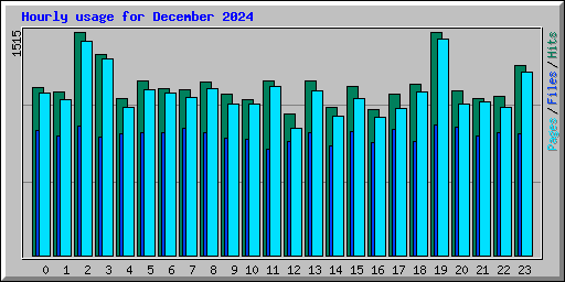 Hourly usage for December 2024