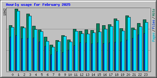 Hourly usage for February 2025