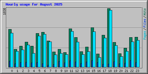 Hourly usage for August 2025