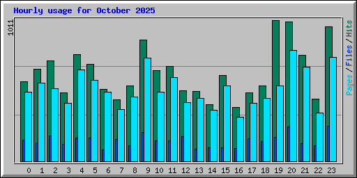 Hourly usage for October 2025