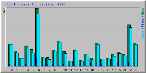 Hourly usage for December 2025