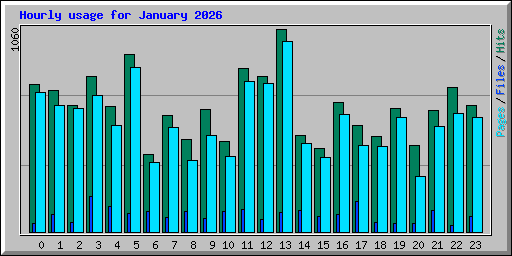 Hourly usage for January 2026