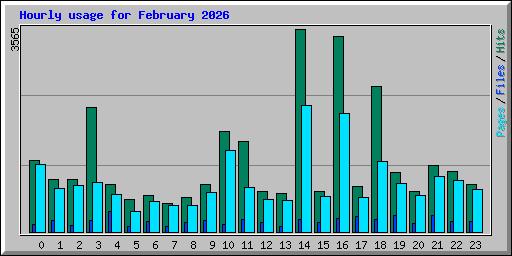 Hourly usage for February 2026