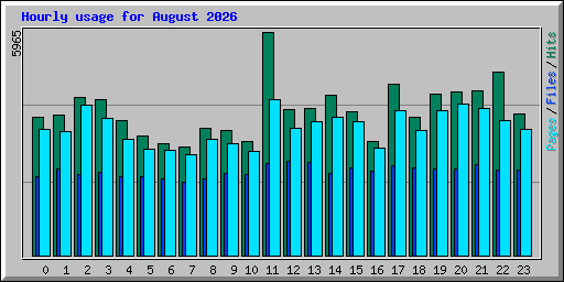 Hourly usage for August 2026