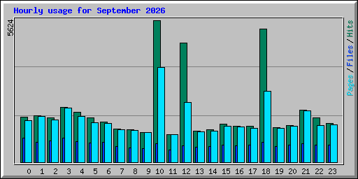 Hourly usage for September 2026