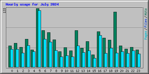 Hourly usage for July 2024