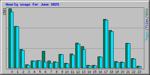 Hourly usage for June 2025