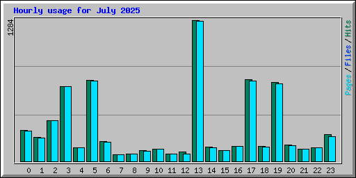 Hourly usage for July 2025
