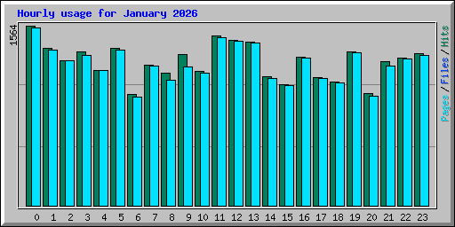 Hourly usage for January 2026