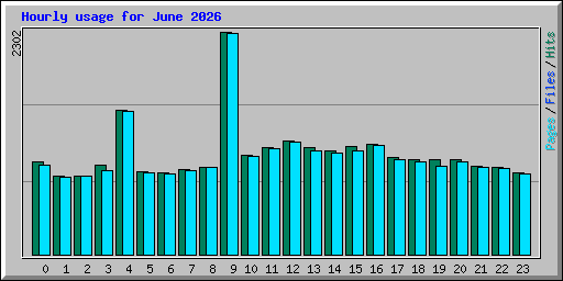 Hourly usage for June 2026